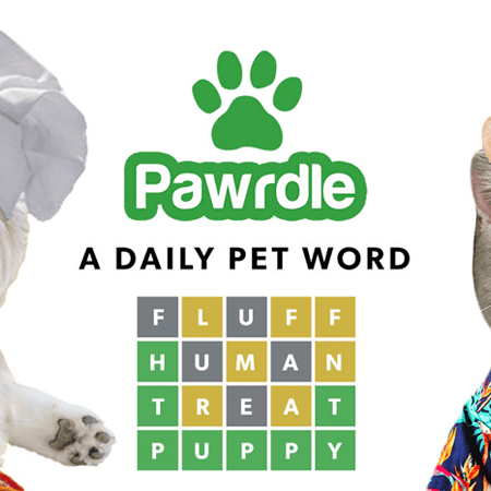 Pawrdle game